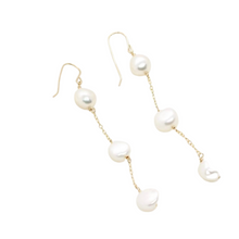 Load image into Gallery viewer, Orion Earrings